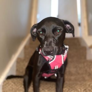 Meet your Posher, Claire